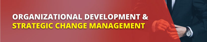 Organizational Development & Strategic Change Management