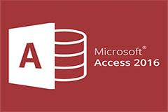 Microsoft Access Excellence