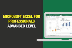 Microsoft Excel For Professionals: Advanced Level