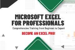 Microsoft Excel for Professionals - Comprehensive Training from Beginner to Expert