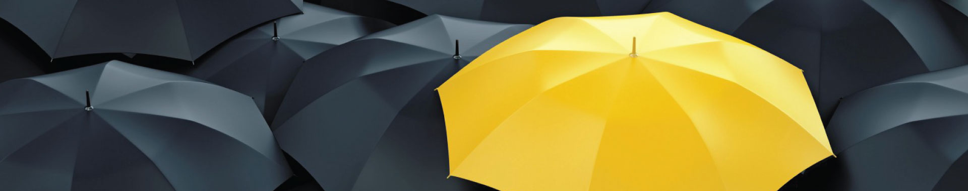 Certification Course